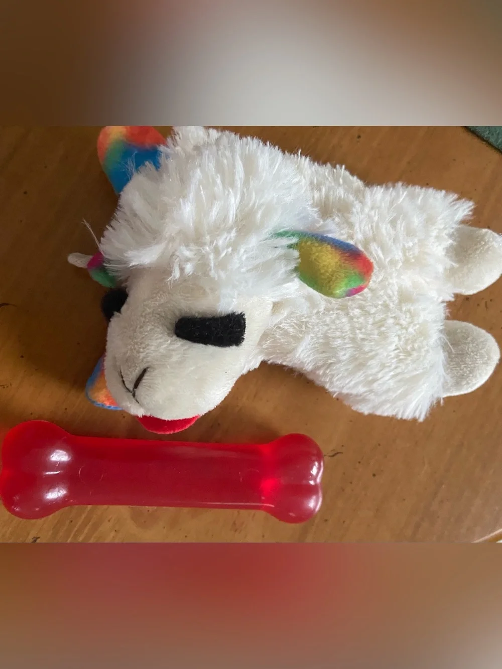 Welcome home puppy (Dog Feeding Set, Drinking bottle,Harnesses ,Toys) size XS